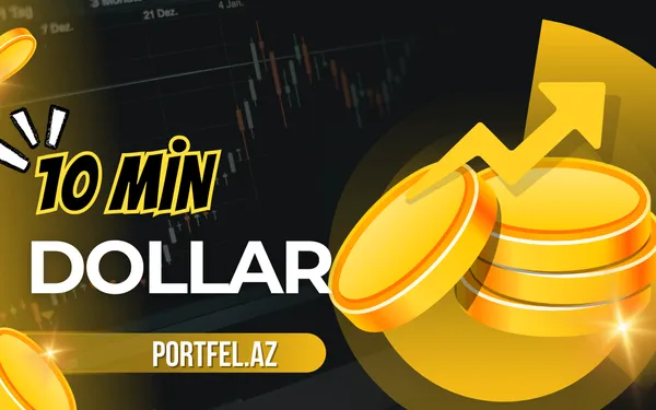 10_min_dollar_portfel_az_ (1)