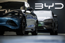 BYD mayda satış artımı qeydə alıb