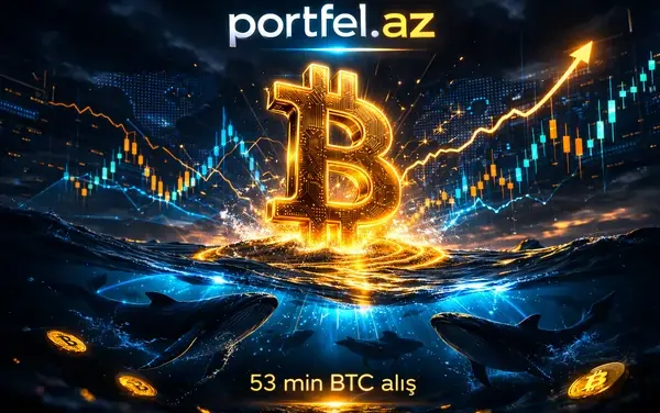 bitcoin_alislari
