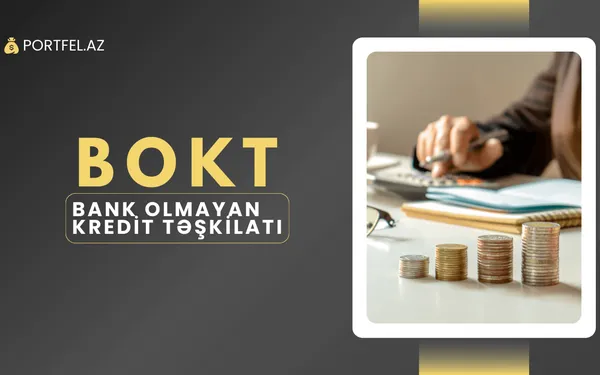 bank olmayan kredit təşkilatı