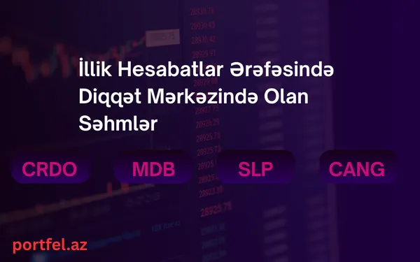 earning_call_stoklar
