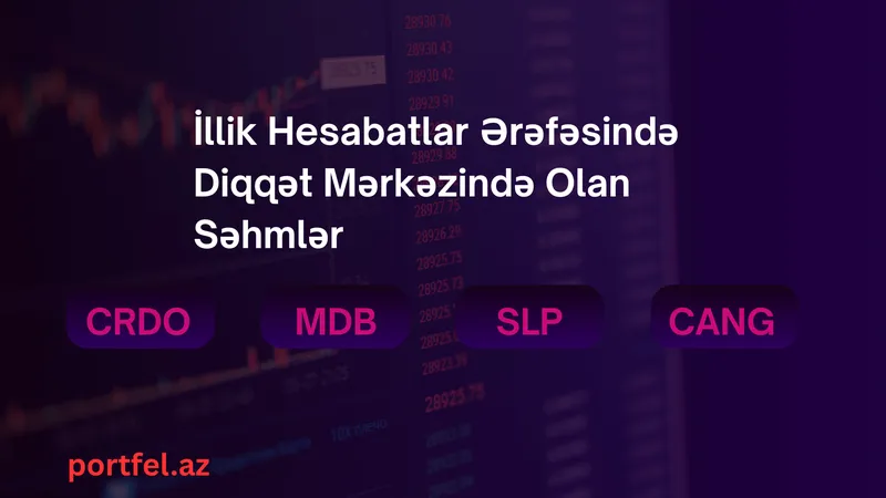 İllik Hesabatlar Ərəfəsində Diqqət Mərkəzində Olan Səhmlər: CRDO, MDB, SLP və CANG