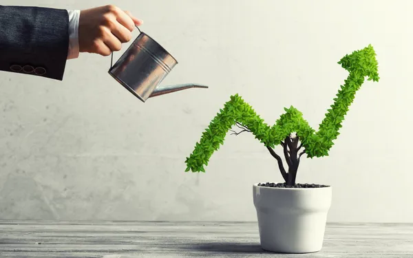 green stocks