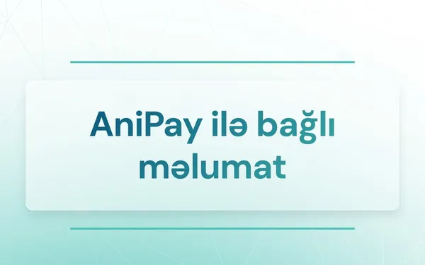 mb anipay